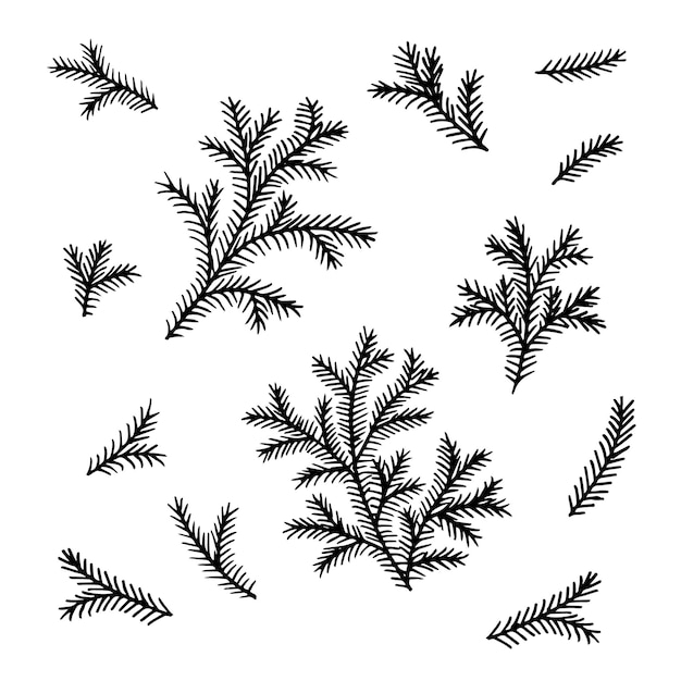 Fir tree branch set