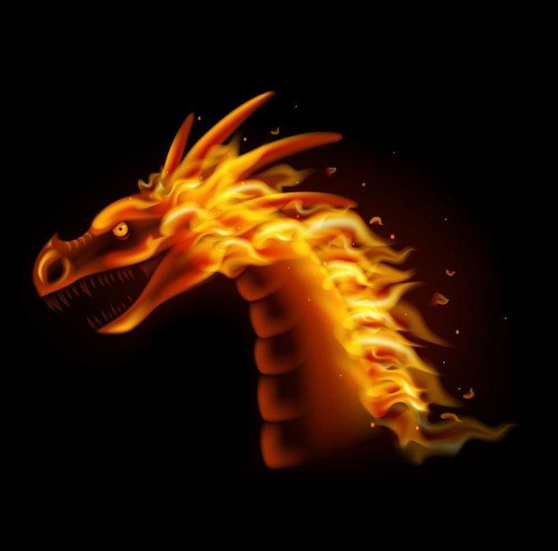 Fire dragon head isolated on black background