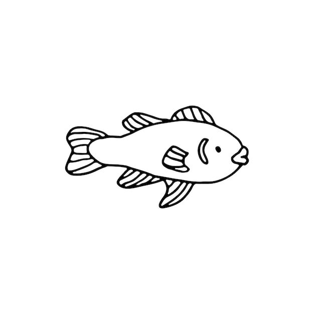 Fish aquatic vertebrate animal Sea WorldDoodle Vector illustration Hand drawn Outline