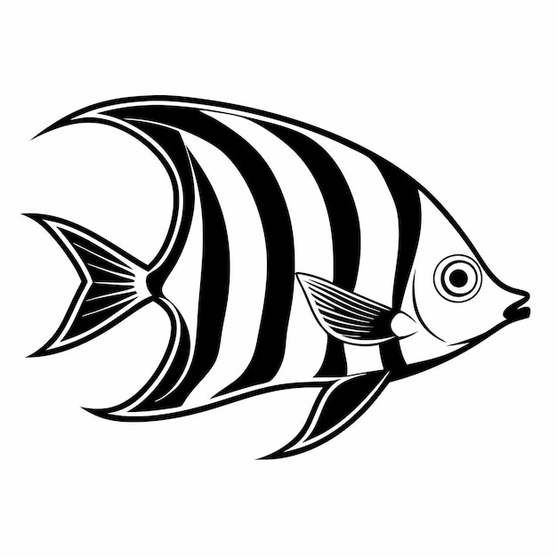 a fish drawing with a black and white striped fish on it