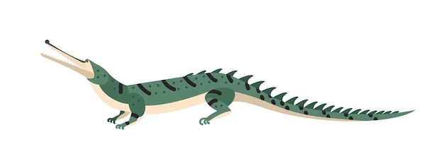 Fish-eating crocodile or gharial isolated on white background. Dangerous exotic predatory reptile. Wild carnivorous animal. Endangered species. Colorful vector illustration in flat cartoon style.