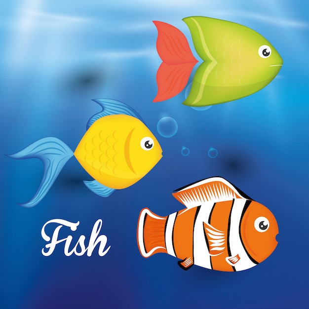 Fish figure design 