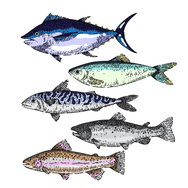 Fish food set sketch hand drawn vector