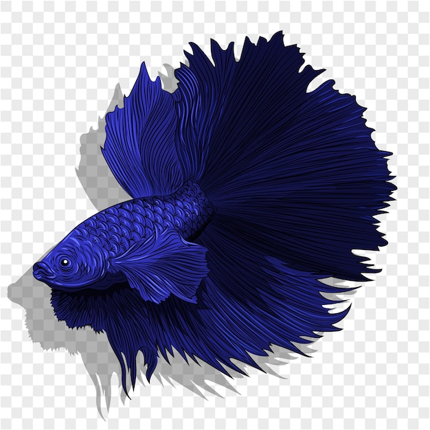 Vector a fish head is shown in blue and purple