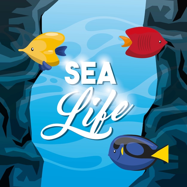 fish icon. Sea life design. Vector graphic