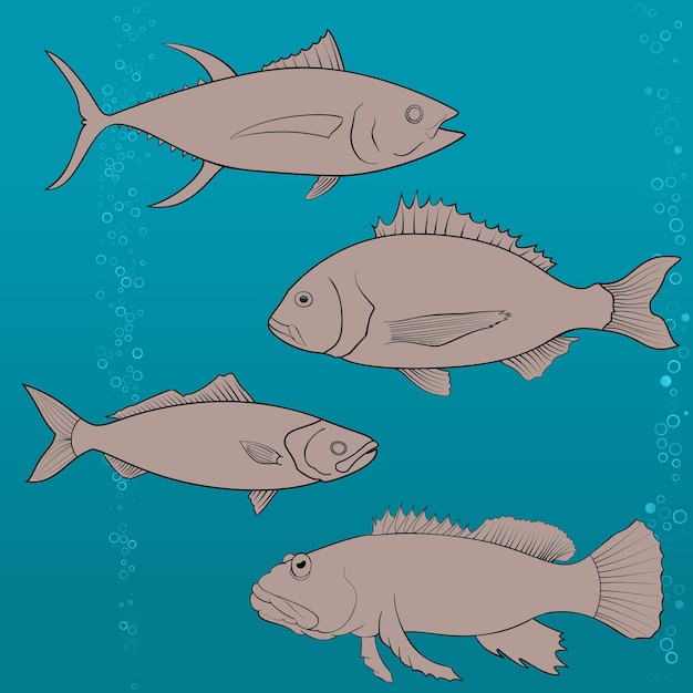 fish icons set Outline illustration