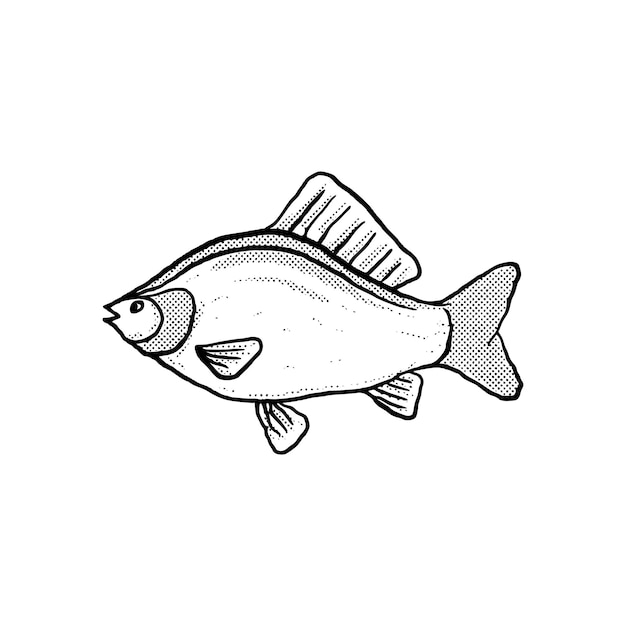 Fish Illustration hand drawn cartoon sketch lineart vintage style vector