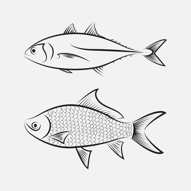 fish line art