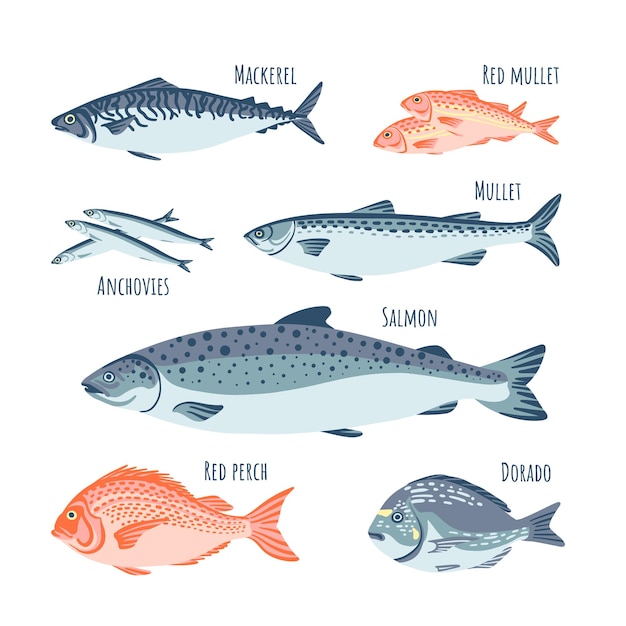 Vector fish set flat style salmon, dorado, red mullet, anchovies, mullet, red perch, mackerel. vector illus