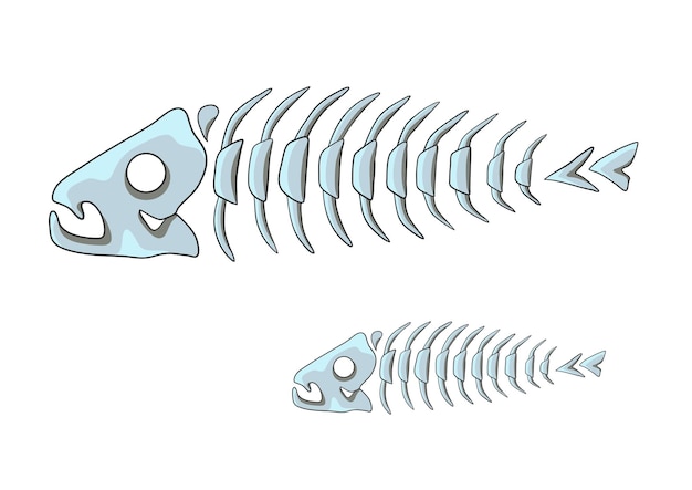 Fish skeleton Sea life isolated on white background Vector illustration