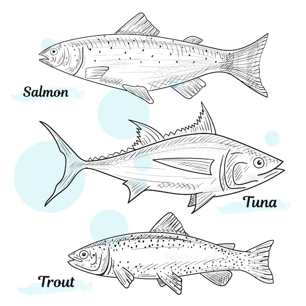 Vector fish sketch collection hand drawn vector illustration seafood food menu illustration hand drawn