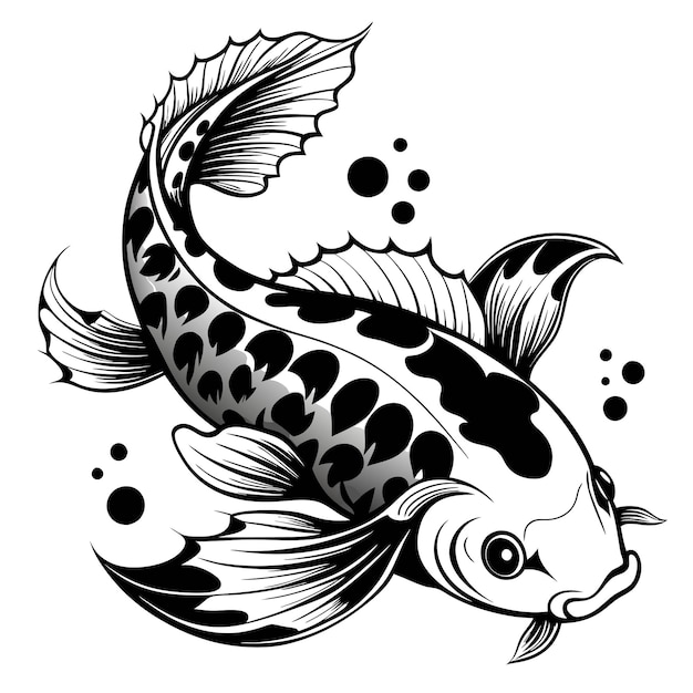 Vector fish vector art and illustration