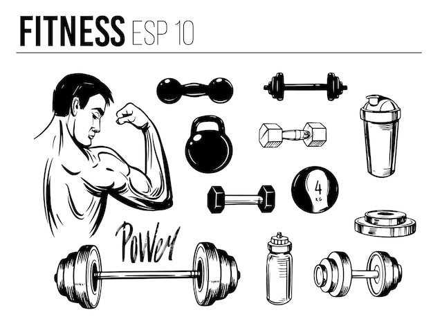 fitness equipment, dumbbell, barbells. Vector sketch illustration