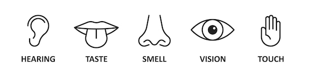 Five human senses hearing taste smell vision touch Vector icon set Ear mouth with tongue nose eye and hand