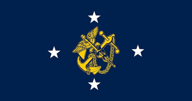 Flag of the Assistant Secretary for Health
(admiral) United States vector image