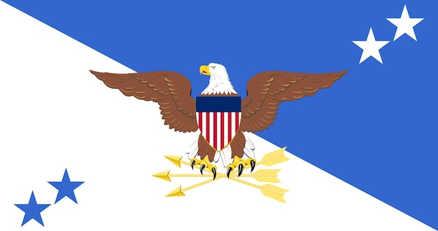 Flag of the Chairman of the Joint Chiefs of Staff vector image