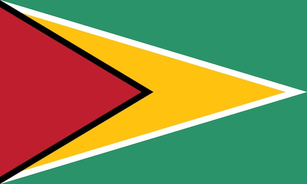 flag of guyana flag nation vektor illustration