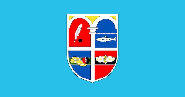 Flag of Korce City in Albania vector image