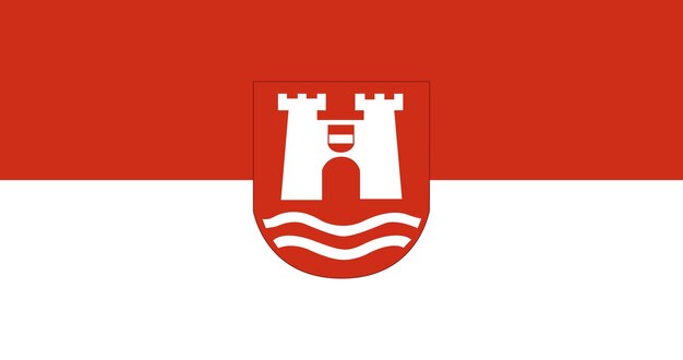 Flag of Linz city in Austria vector image