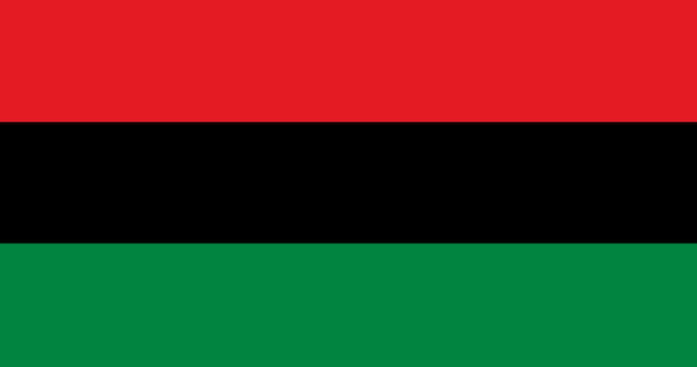 Flag of Pan African vector image