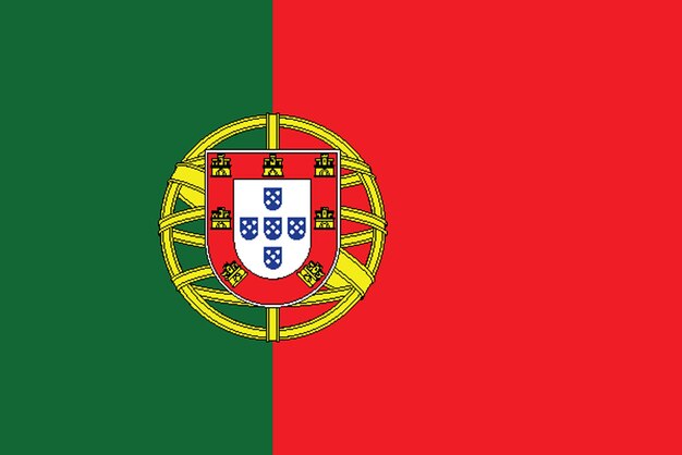 Vector flag of portugal flag nation