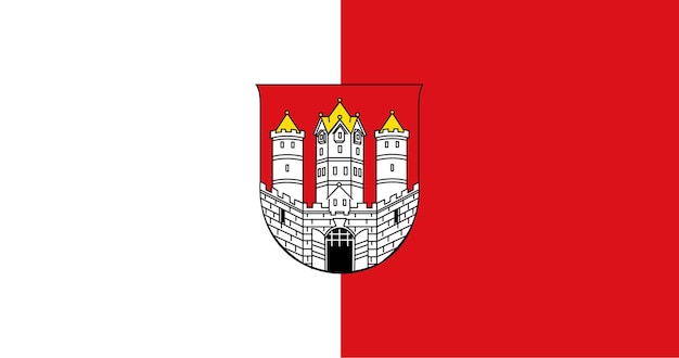 Flag of Salzburg city in Austria vector image