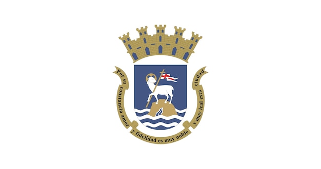 Flag of San Juan city vector image