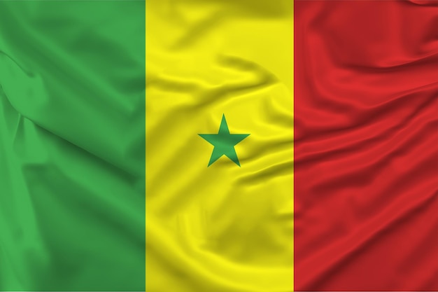 Vector flag of senegal and all country flag