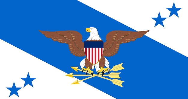 Flag of the Vice Chairman of the Joint Chiefs of Staff of United States vector image