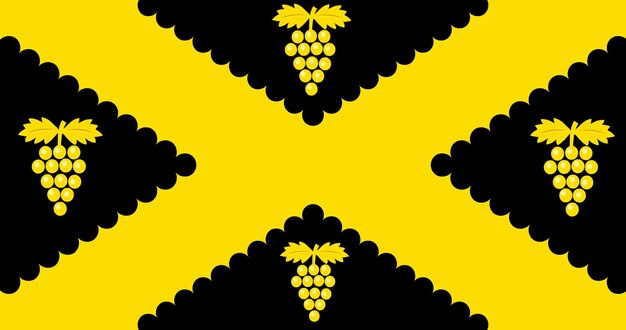 Flag of Wijnegem Municipality in Belgium vector image