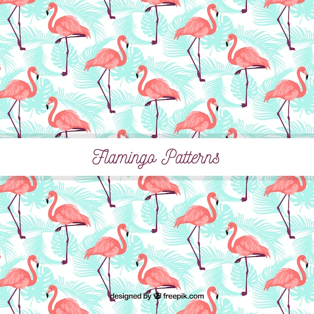 Flamenco summer pattern