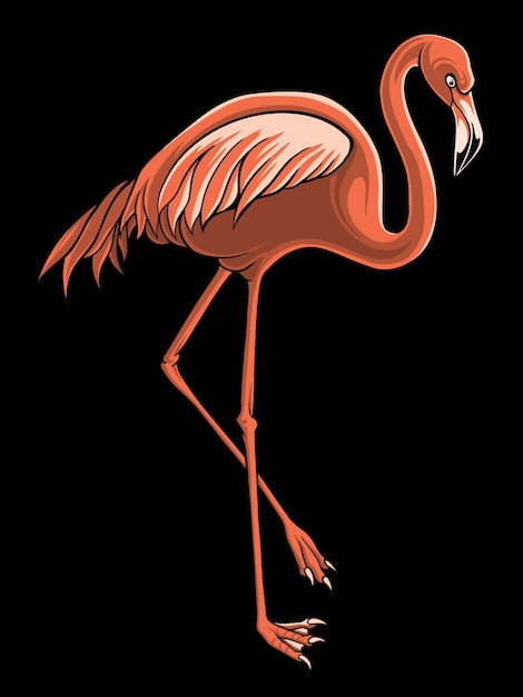 Flamingo Bird Illustrator Vector Design For Elements, editable colors