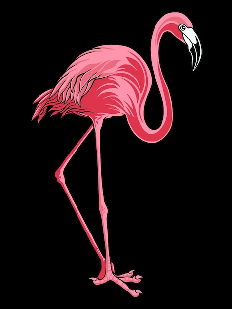 Flamingo Bird Illustrator Vector Design For Elements, editable colors