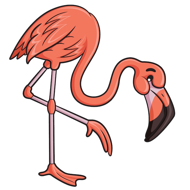 Flamingo Cartoon