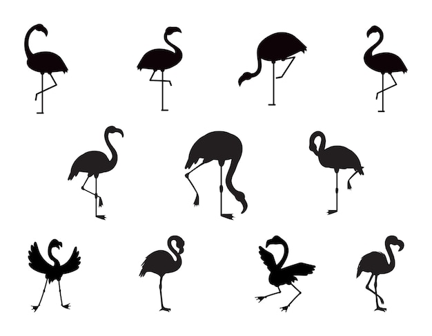 Flamingo Collections isolated vector Silhouette