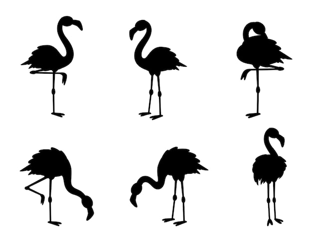 Flamingo Collections isolated vector Silhouette