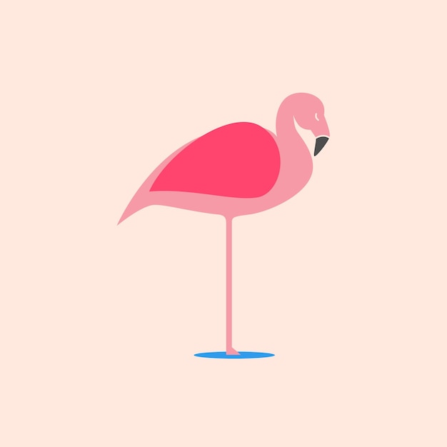 Flamingo flat design vector illustration