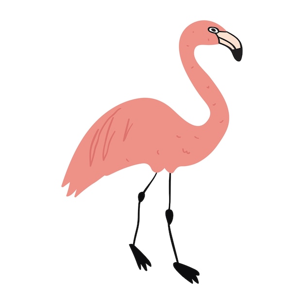 Flamingo. Hand drawn flat vector design. Illustration on white background.