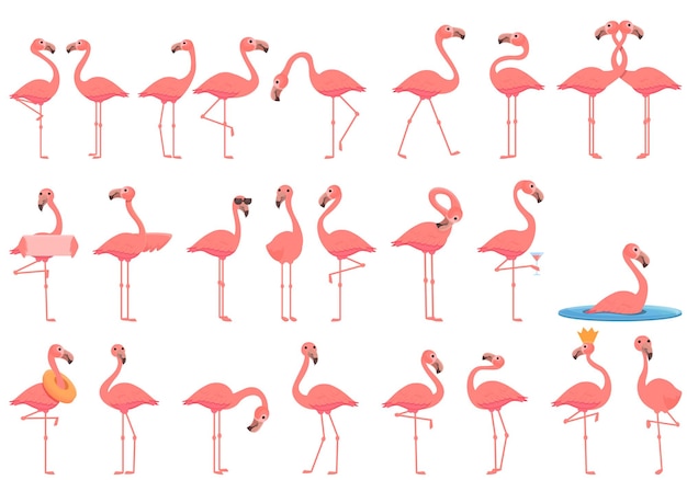 Flamingo icons set. Cartoon set of flamingo vector icons for web design