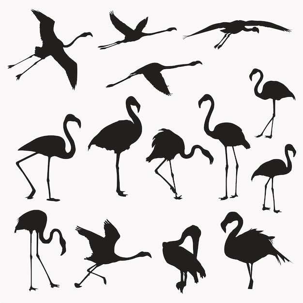 Flamingo silhouettes