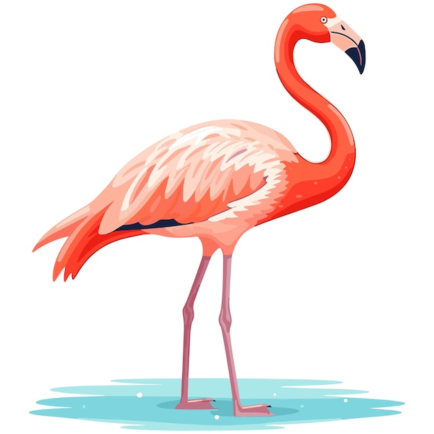 Flamingo vector art Infuse your designs with tropical elegance and vibrant pink hues