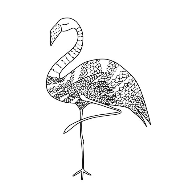 Vector flamingo vector coloring page hand drawn coloring with cute flamingo