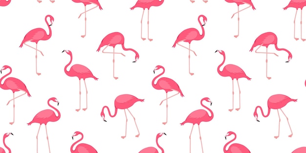 Flamingo vector seamless pattern pink bird background tropical summer print Cute animal wallpaper