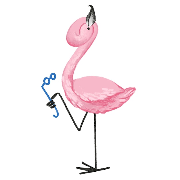 Flamingo on white isolated background