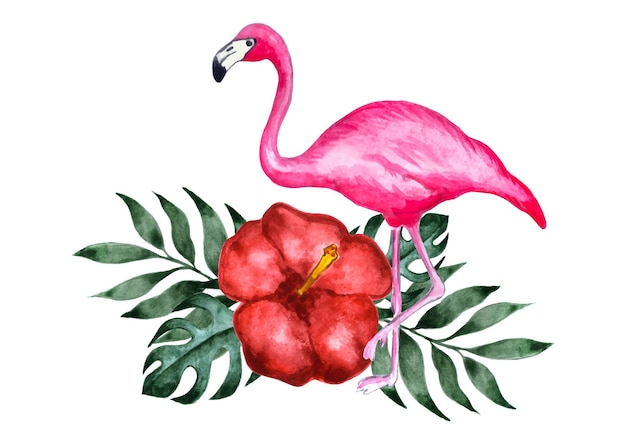 Flamingo with tropical flowers and leaf Hand draw watercolor vector illustration