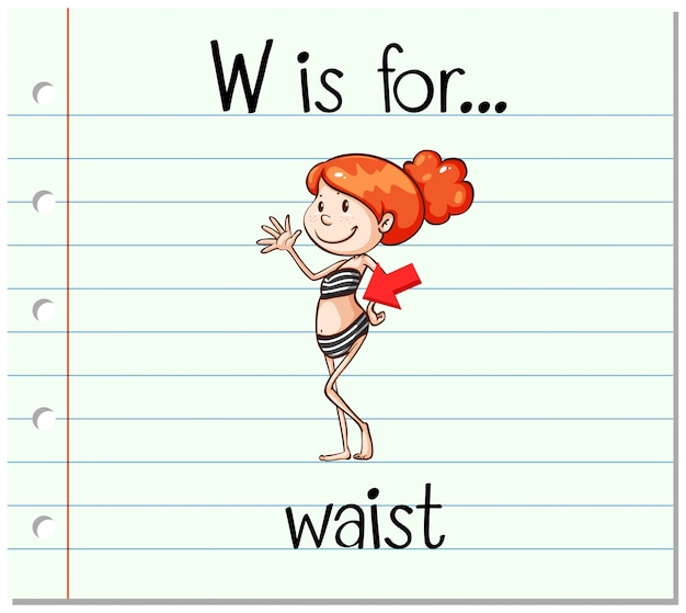 Flashcard alphabet W is for waist