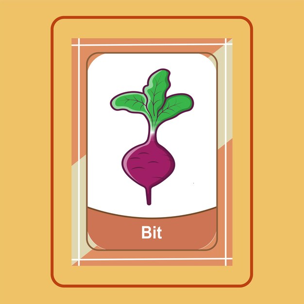 Flashcard Bit