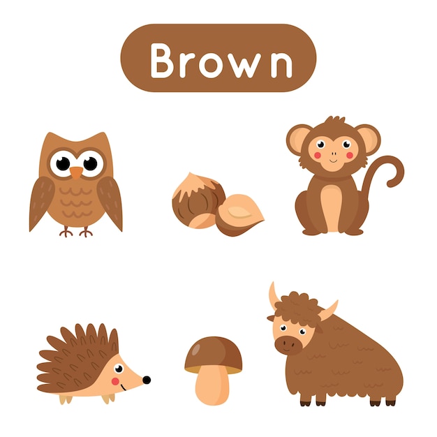 Flashcards for learning colors. Brown color. Educational worksheet for preschool kids. Set of pictures in brown color.