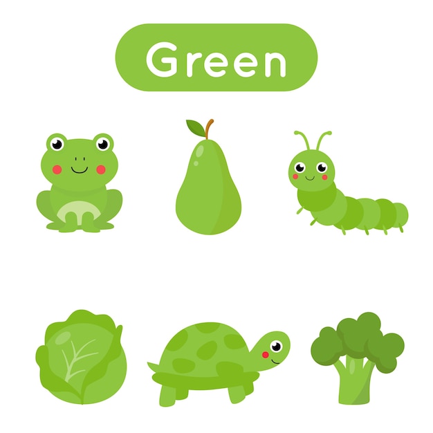 Flashcards for learning colors. Green color. Educational worksheet for preschool kids. Set of pictures in green color.