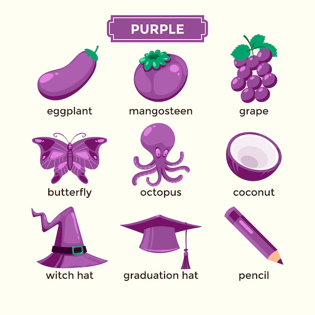 Flashcards for learning purple colors and vocabulary set